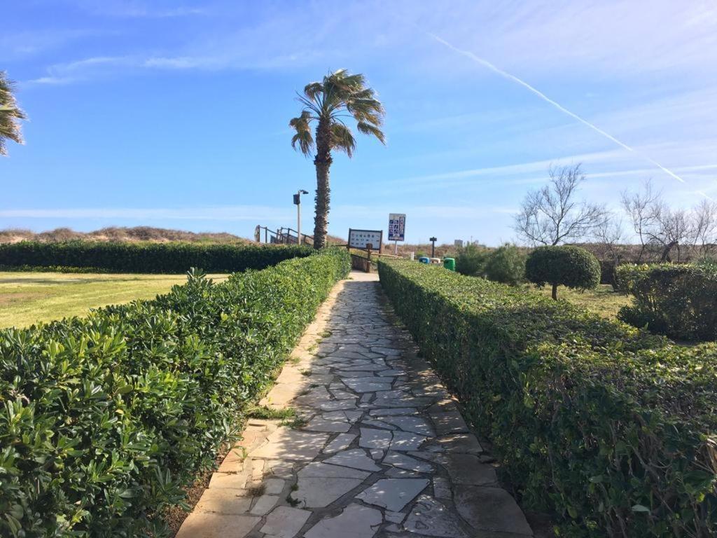 Apartamento A 100 Metros De La Playa Con Grande Terraza Y Vistas Al Mar Даймус Екстериор снимка