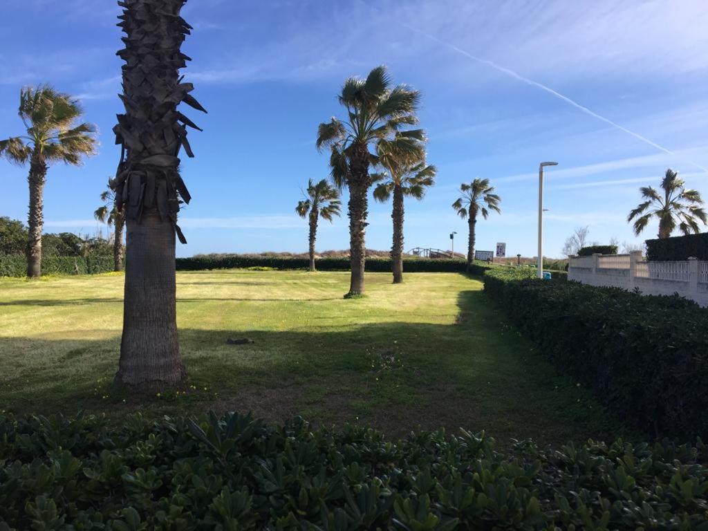 Apartamento A 100 Metros De La Playa Con Grande Terraza Y Vistas Al Mar Даймус Екстериор снимка